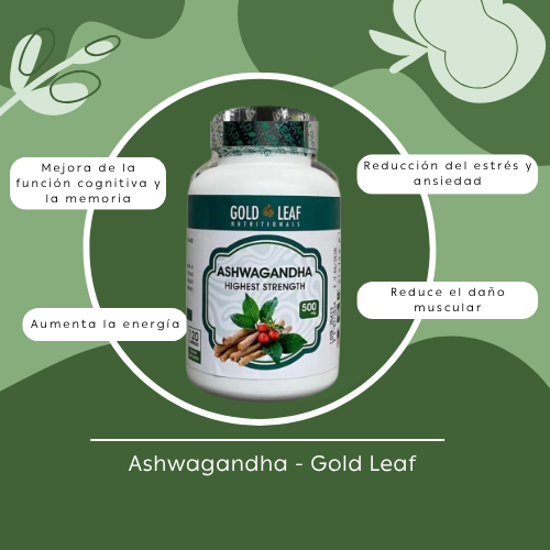 Ashwagandha Gold Leaf – 120 Cápsulas | Antiestrés, Energía y Vitalidad